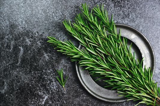 Spotlight on Rosemary oil!