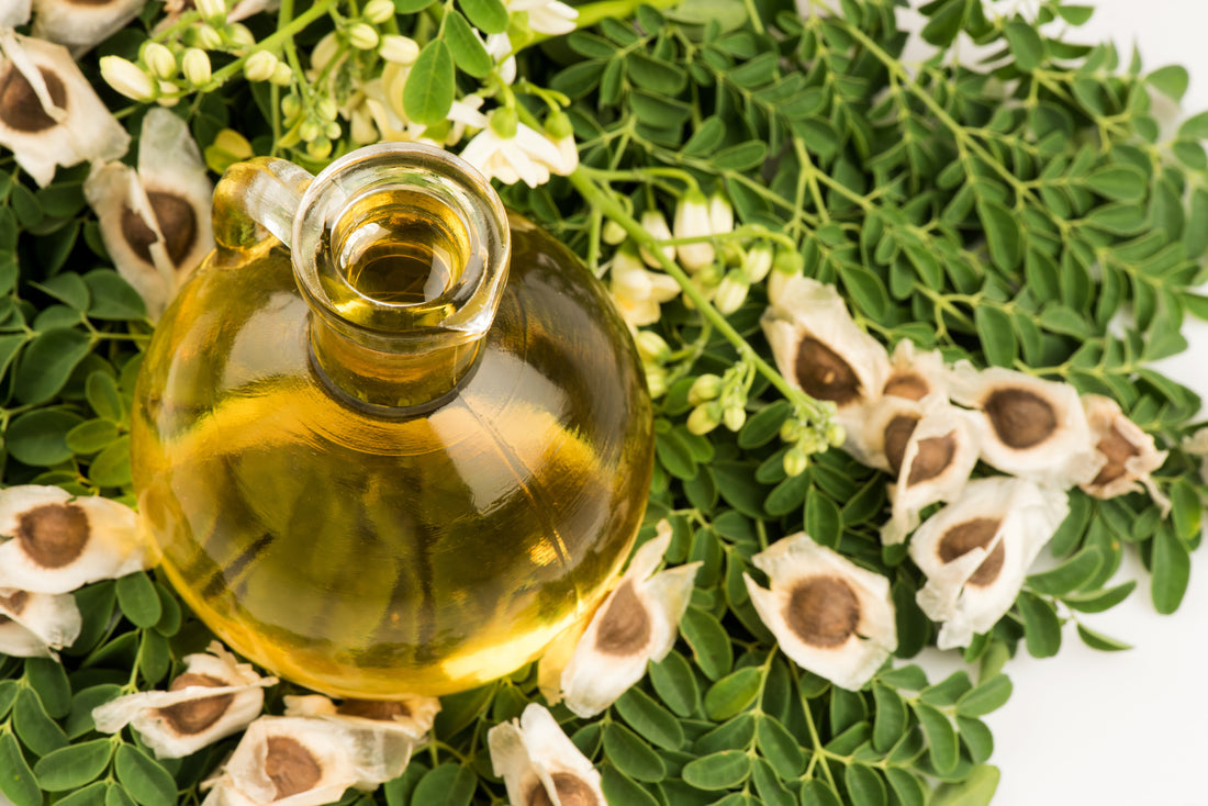 All you need to know about moringa oil and how it can help you